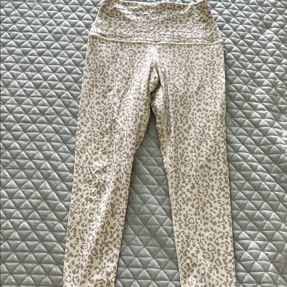 Evolution and Creation Cream Brown Leggings